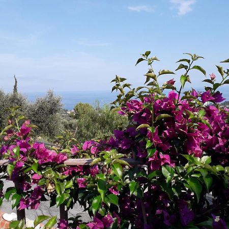 Il Porto Di Benny Bed and Breakfast Alassio Eksteriør billede